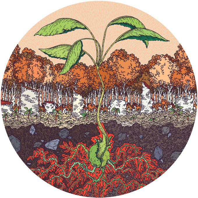 lentree_en_resistance_web_rond_1000px-680x679 (1)